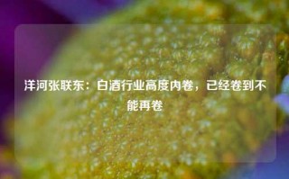 洋河张联东：白酒行业高度内卷，已经卷到不能再卷