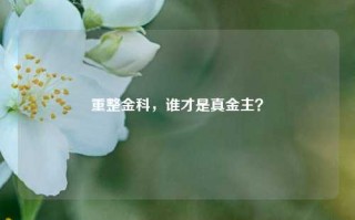 重整金科，谁才是真金主？