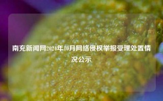 南充新闻网2024年10月网络侵权举报受理处置情况公示