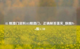 85 期澳门资料185期澳门，正确解答落实_旗舰Pro版4.738