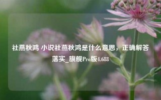 社燕秋鸿 小说社燕秋鸿是什么意思，正确解答落实_旗舰Pro版4.688