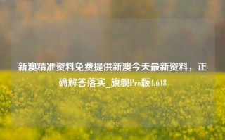 新澳精准资料免费提供新澳今天最新资料，正确解答落实_旗舰Pro版4.648