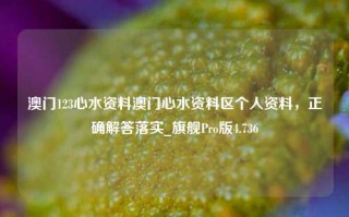 澳门123心水资料澳门心水资料区个人资料，正确解答落实_旗舰Pro版4.736