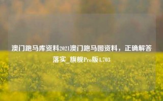 澳门跑马库资料2021澳门跑马图资料，正确解答落实_旗舰Pro版4.703