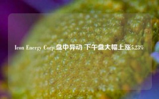 Icon Energy Corp.盘中异动 下午盘大幅上涨5.23%