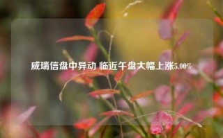 威瑞信盘中异动 临近午盘大幅上涨5.00%