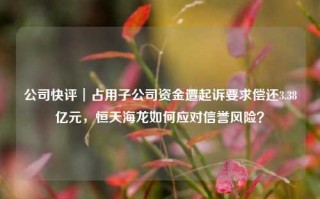 公司快评︱占用子公司资金遭起诉要求偿还3.38亿元，恒天海龙如何应对信誉风险？