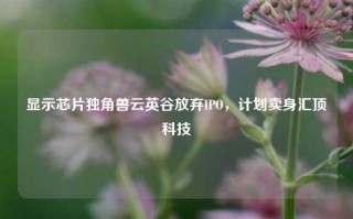 显示芯片独角兽云英谷放弃IPO，计划卖身汇顶科技