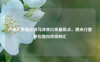 卢布汇率逼近俄乌冲突以来最低点，俄央行暂停在国内市场购汇