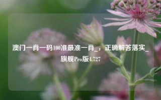 澳门一肖一码100准最准一肖_，正确解答落实_旗舰Pro版4.727