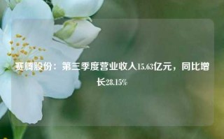 赛腾股份：第三季度营业收入15.63亿元，同比增长28.15%