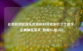 社燕秋鸿轻音乐社燕秋归何处乡打三个数字，正确解答落实_旗舰Pro版4.672