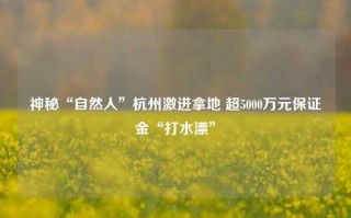 神秘“自然人”杭州激进拿地 超5000万元保证金“打水漂”