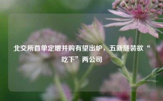 北交所首单定增并购有望出炉，五新隧装欲“吃下”两公司