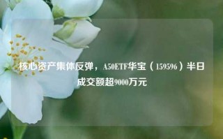 核心资产集体反弹，A50ETF华宝（159596）半日成交额超9000万元