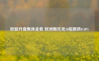 欧股开盘集体走低 欧洲斯托克50指数跌0.30%