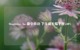 Stoneridge, Inc.盘中异动 下午盘大幅下挫5.00%