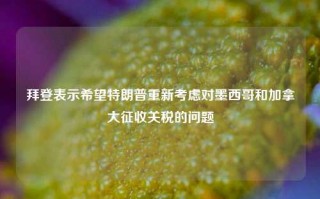 拜登表示希望特朗普重新考虑对墨西哥和加拿大征收关税的问题