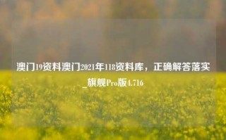 澳门19资料澳门2021年118资料库，正确解答落实_旗舰Pro版4.716