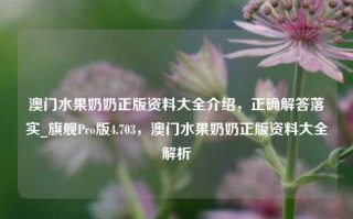 澳门水果奶奶正版资料大全介绍，正确解答落实_旗舰Pro版4.703，澳门水果奶奶正版资料大全解析