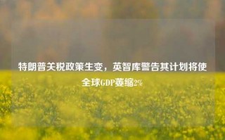 特朗普关税政策生变，英智库警告其计划将使全球GDP萎缩2%