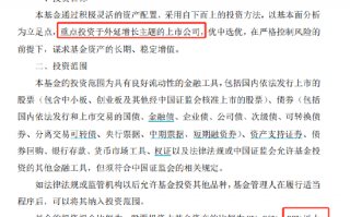 电力股是不是外延增长？北信瑞丰外延增长主题基金十大重仓股全是电力股，被质疑风格漂移，基金经理还嘴硬