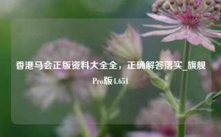 香港马会正版资料大全全，正确解答落实_旗舰Pro版4.651