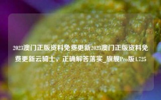 2023澳门正版资料免费更新2023澳门正版资料免费更新云骑士，正确解答落实_旗舰Pro版4.725