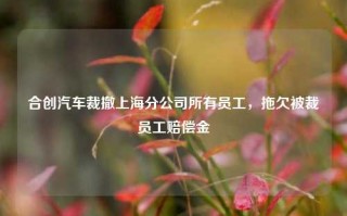 合创汽车裁撤上海分公司所有员工，拖欠被裁员工赔偿金