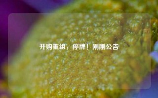 并购重组，停牌！刚刚公告