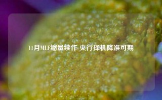 11月MLF缩量续作 央行择机降准可期