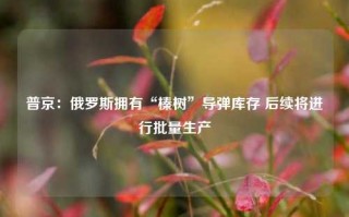 普京：俄罗斯拥有“榛树”导弹库存 后续将进行批量生产