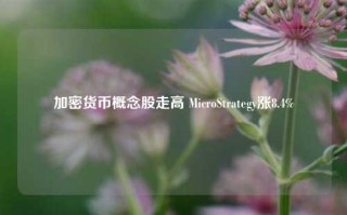 加密货币概念股走高 MicroStrategy涨8.4%