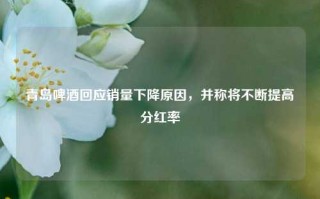 青岛啤酒回应销量下降原因，并称将不断提高分红率