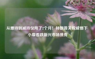 从增持到减持仅用了2个月！特朗普关税威慑下 小摩看跌新兴市场债券