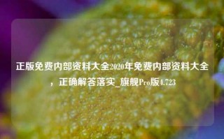 正版免费内部资料大全2020年免费内部资料大全，正确解答落实_旗舰Pro版4.723