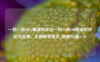 一码一肖100%精准的评论一码一肖100精准的评论与反馈，正确解答落实_旗舰Pro版4.705