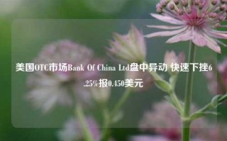 美国OTC市场Bank Of China Ltd盘中异动 快速下挫6.25%报0.450美元