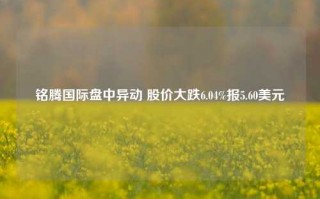 铭腾国际盘中异动 股价大跌6.04%报5.60美元