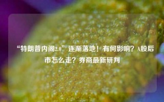 “特朗普内阁2.0”逐渐落地！有何影响？A股后市怎么走？券商最新研判