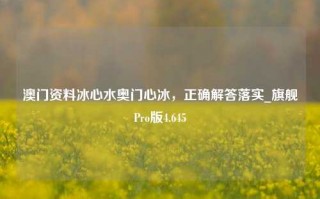 澳门资料冰心水奥门心冰，正确解答落实_旗舰Pro版4.645