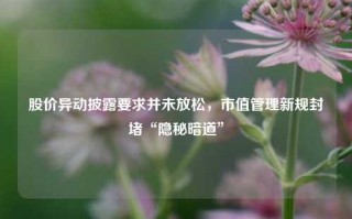 股价异动披露要求并未放松，市值管理新规封堵“隐秘暗道”