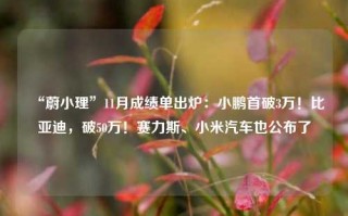 “蔚小理”11月成绩单出炉：小鹏首破3万！比亚迪，破50万！赛力斯、小米汽车也公布了