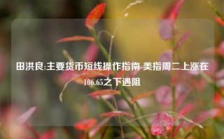 田洪良:主要货币短线操作指南 美指周二上涨在106.65之下遇阻