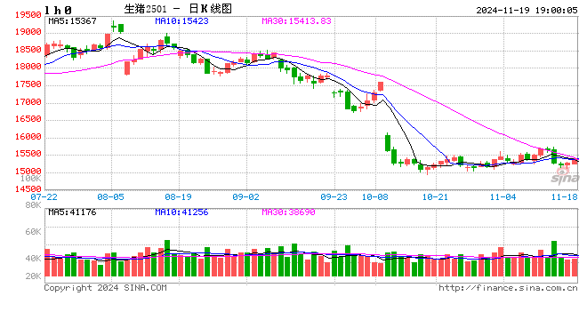 每日猪讯11.19-第2张图片-车辆报废_报废车厂_报废汽车回收_北京报废车-「北京报废汽车解体中心」