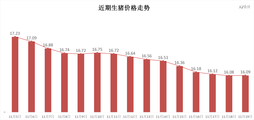 每日猪讯11.19-第3张图片-车辆报废_报废车厂_报废汽车回收_北京报废车-「北京报废汽车解体中心」