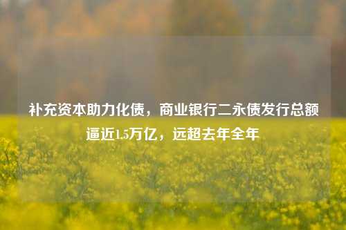 补充资本助力化债，商业银行二永债发行总额逼近1.5万亿，远超去年全年-第1张图片-车辆报废_报废车厂_报废汽车回收_北京报废车-「北京报废汽车解体中心」