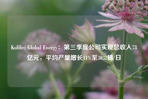 Kolibri Global Energy：第三季度公司实现总收入73亿元，平均产量增长11%至3032桶/日-第1张图片-车辆报废_报废车厂_报废汽车回收_北京报废车-「北京报废汽车解体中心」