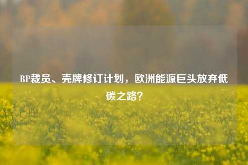 BP裁员、壳牌修订计划，欧洲能源巨头放弃低碳之路？-第1张图片-车辆报废_报废车厂_报废汽车回收_北京报废车-「北京报废汽车解体中心」