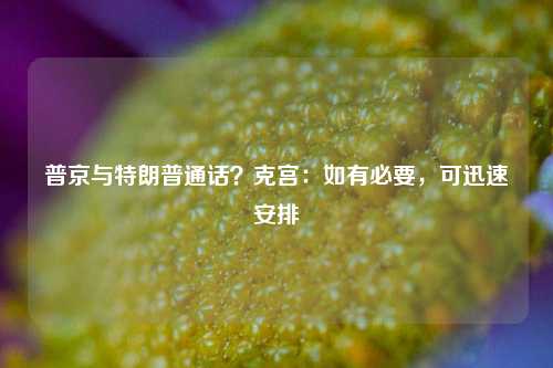 普京与特朗普通话？克宫：如有必要，可迅速安排-第1张图片-车辆报废_报废车厂_报废汽车回收_北京报废车-「北京报废汽车解体中心」